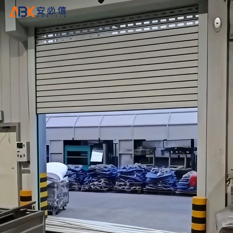 阿里地区金属高速门